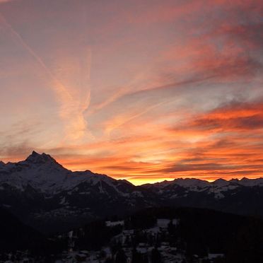 Außen Sommer 5, Chalet "Zan Fleuron" in den Waadtländer Alpen, Gryon, Waadtländer Alpen, Waadt, Schweiz