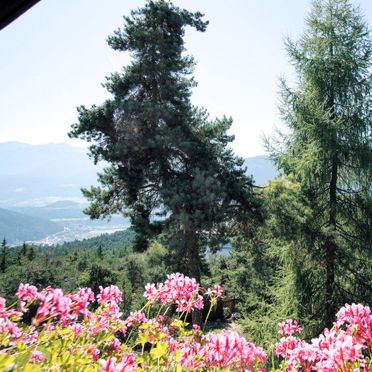 Außen Sommer 3, Chalet Solea, Imst, Tirol, Tirol, Österreich