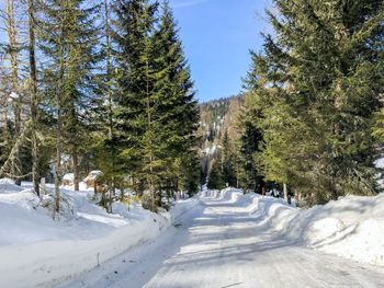 Chalet Tom - Carinthia  - Austria