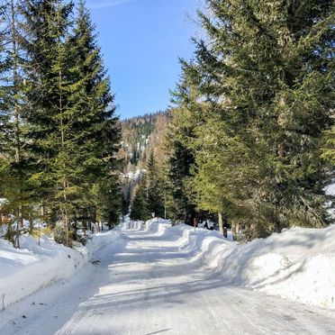 Außen Winter 21, Chalet Tom, Sirnitz - Hochrindl, Hochrindl-Alpl, Kärnten, Österreich