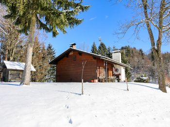 Hütte Rustika am Wörthersee - Carinthia  - Austria