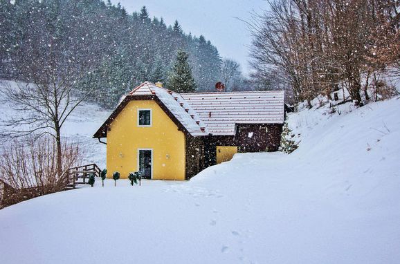 Außen Winter 25, Ferienchalet Feichtinger, Gloggnitz, Niederösterreich, Niederösterreich, Österreich