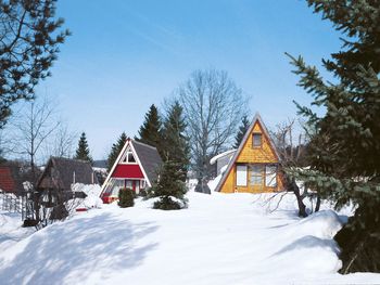 Hütte Jägerwiesen im Bayerischen Wald - Bavaria - Germany