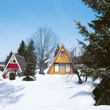 Außen Winter 20, Hütte Jägerwiesen im Bayerischen Wald, Waldkirchen, Bayerischer Wald, Bayern, Deutschland
