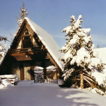 Außen Winter 11, Schwarzwald-Chalet Tennenbronn, Tennenbronn, Schwarzwald, Baden-Württemberg, Deutschland